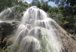 5 famous attractions to visit in Oslob, Cebu