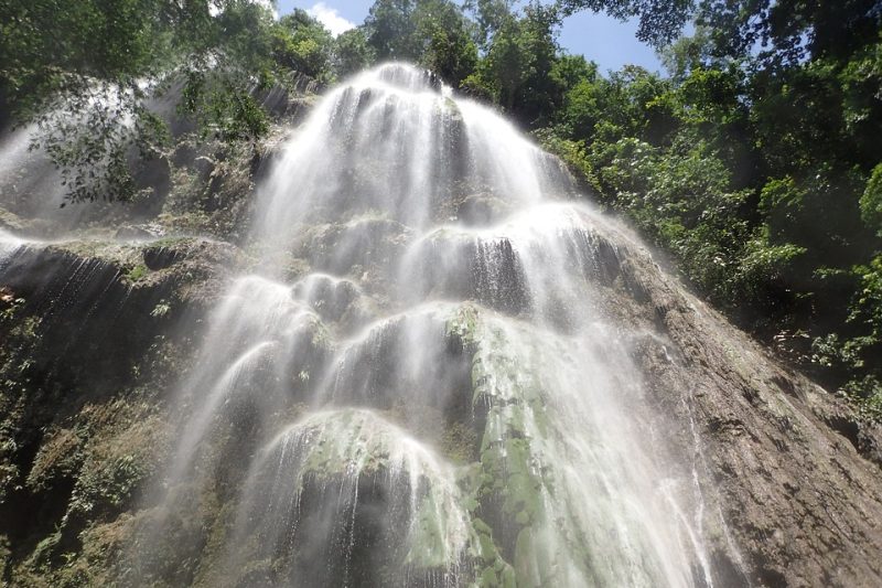 5 famous attractions to visit in Oslob, Cebu