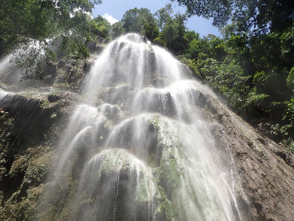 5 famous attractions to visit in Oslob, Cebu