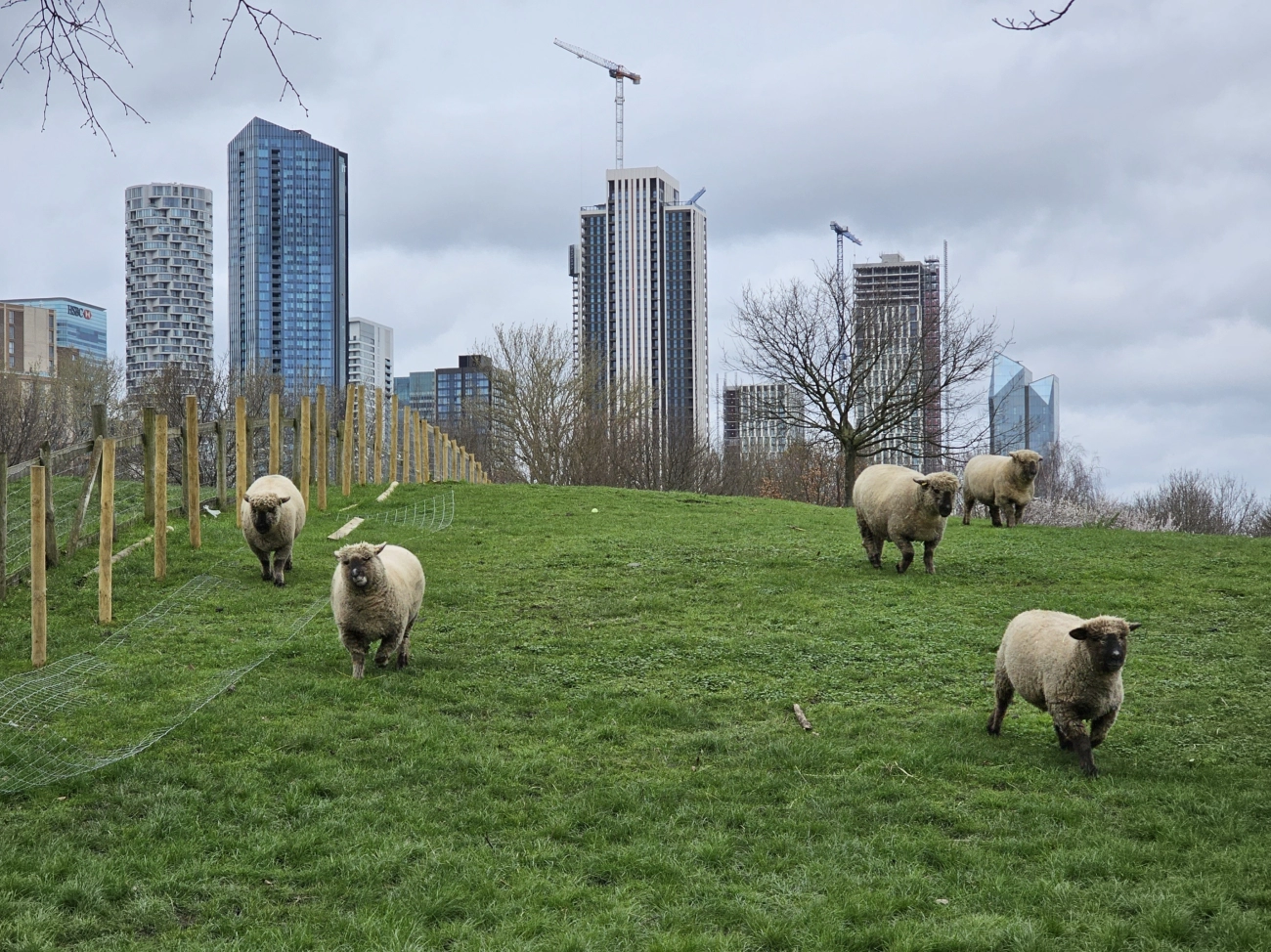 10 Hidden Gems in London Most Tourists Never Discover