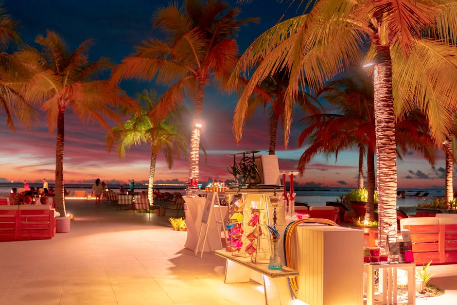 A tranquil evening at a resort with illuminated palm trees, perfect for relaxation by the sea.