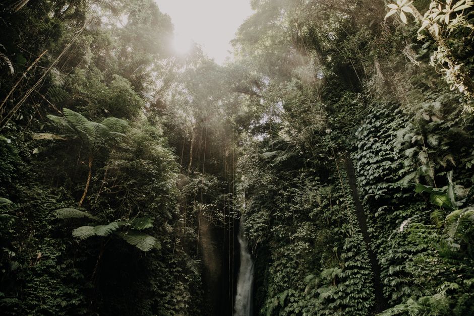 Bali in the Dry Season: Temple Etiquette and Rice Terrace Walks