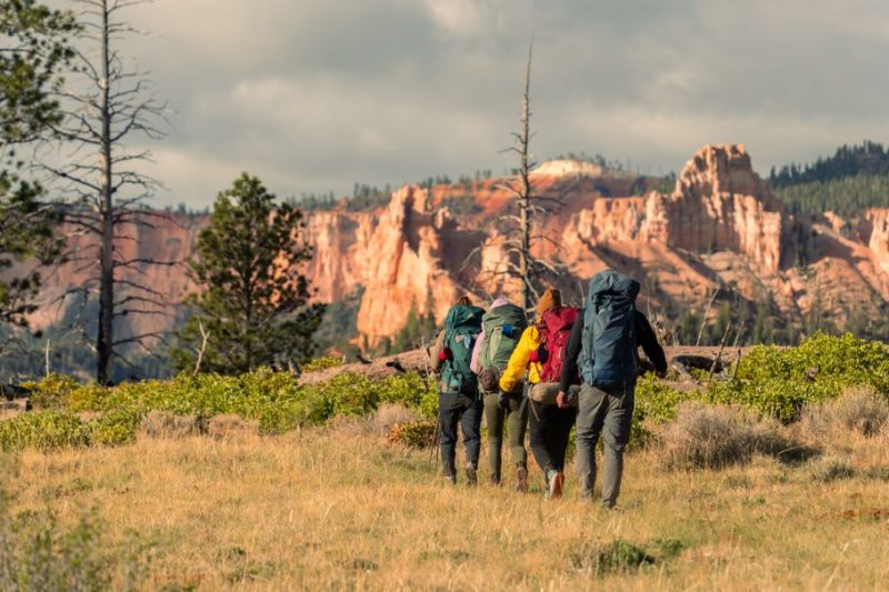 Best Backpacking Guide: The Backpacker’s Gear Problem: What to Actually Buy Before You Go