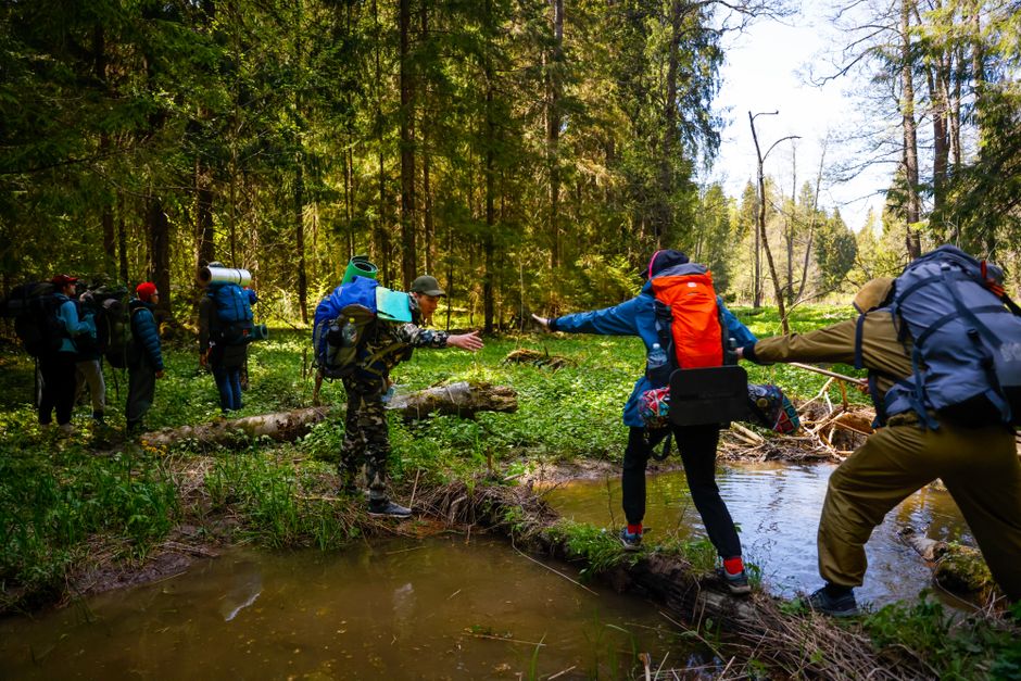 A group of hikers with backpacks navigate a stream in a lush green forest.