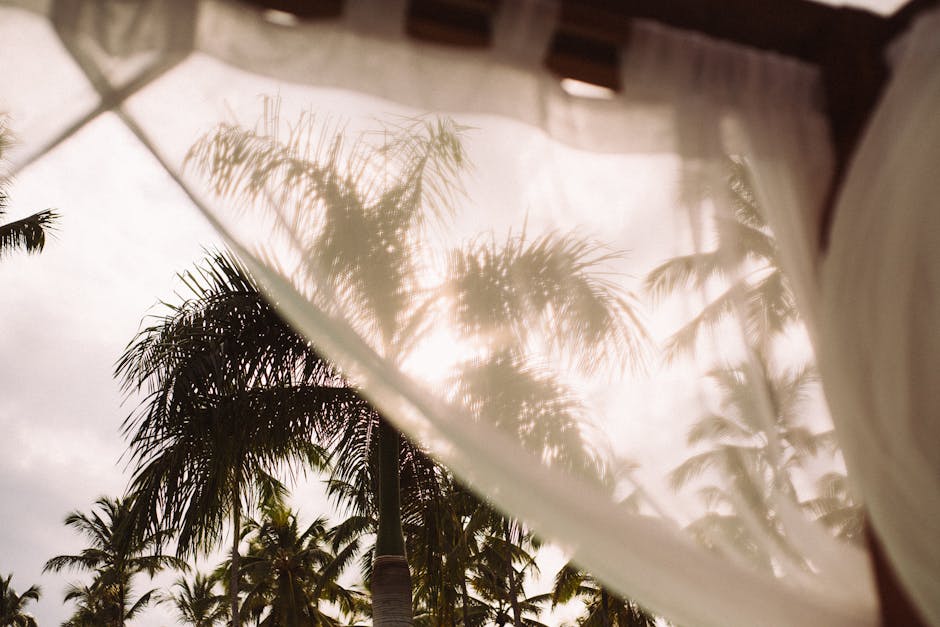 Palm trees seen through white curtains on a sunny day in a tropical setting.