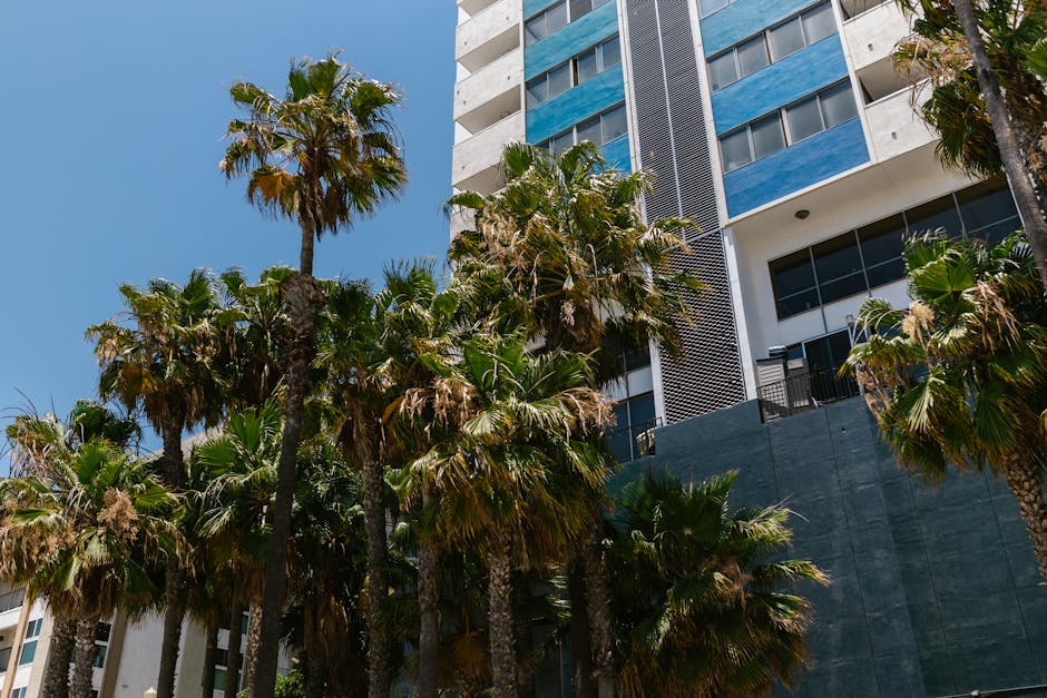 A contemporary building surrounded by lush palm trees against a clear, blue sky.