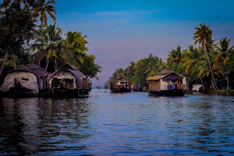 Traditional houseboats cruise through lush palm-lined backwaters in Kerala, India.