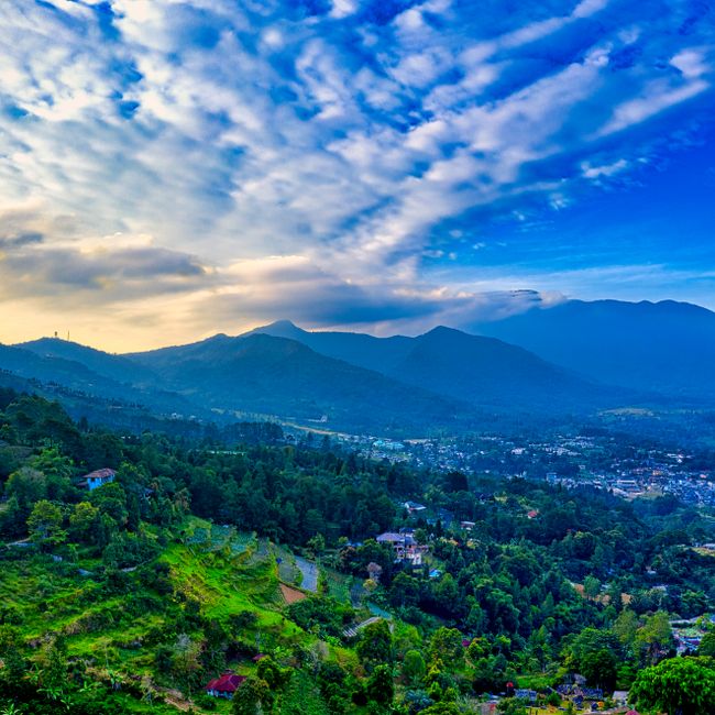 Breathtaking landscape of valley with grassy green hills and meadow near trees and plants with houses in town under cloudy blue sky in summer day in countryside