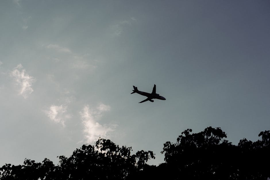 A serene silhouette of an airplane flying above tree tops under a twilight sky.