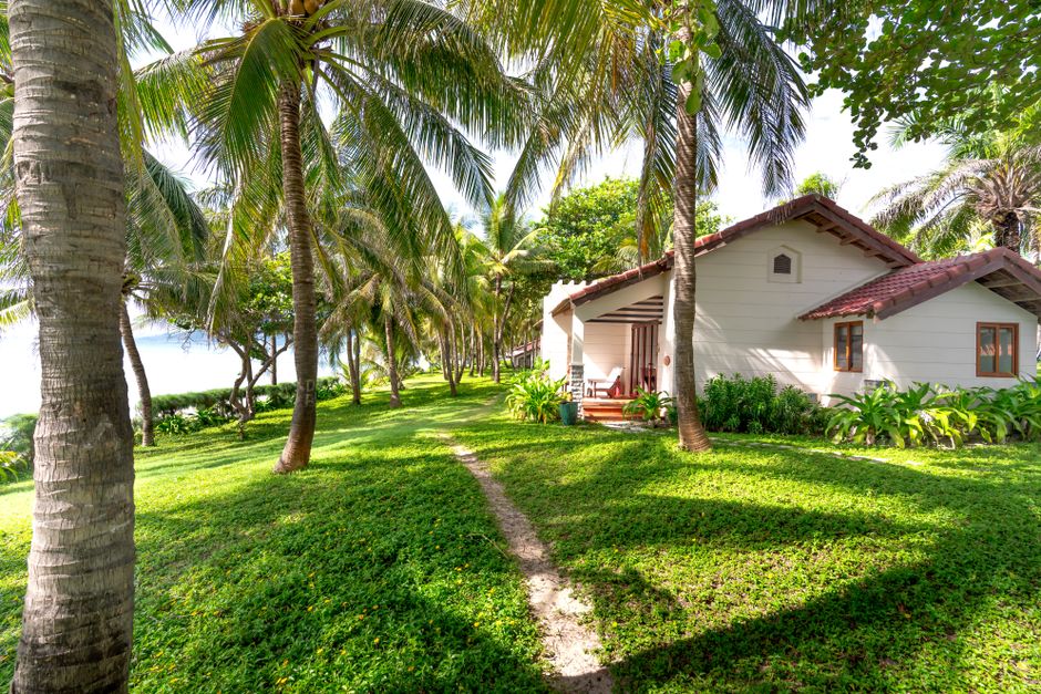 Charming tropical house set in lush greenery with palm trees and ocean view.