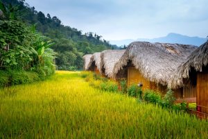 Eco-Friendly Boutique Hotels Costa Rica: Eco-Lodges in Costa Rica: What Actually Makes Them Green?