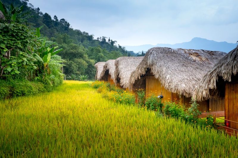 Eco-Friendly Boutique Hotels Costa Rica: Eco-Lodges in Costa Rica: What Actually Makes Them Green?