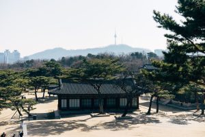 Family Vacation Korea: 6 Mistakes That Ruin the Trip (And How to Fix Them)
