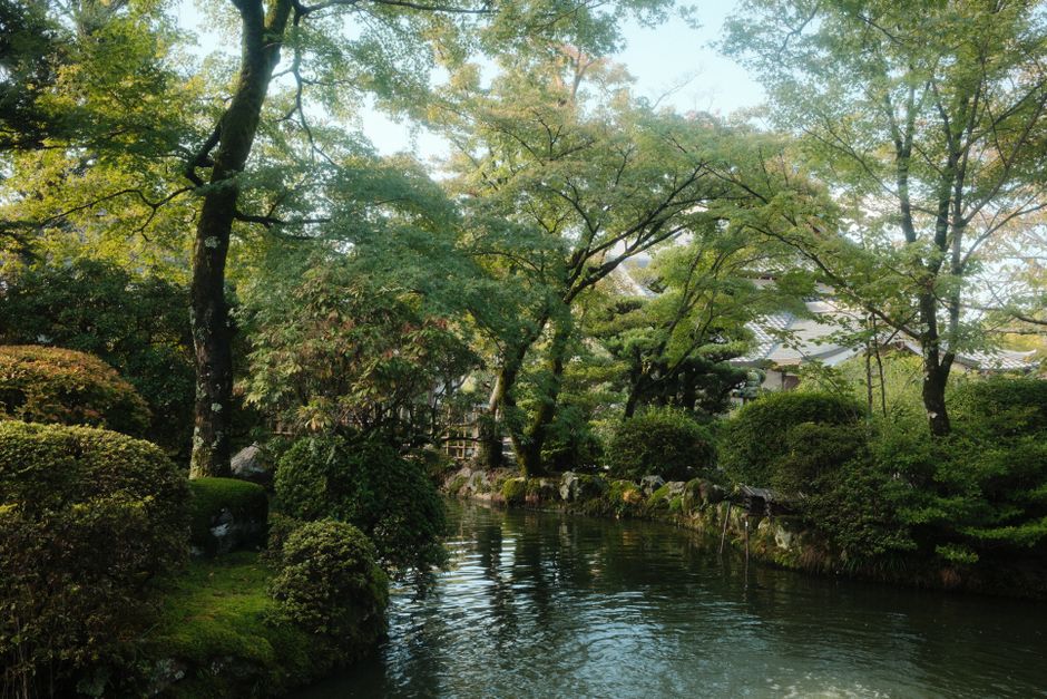 Kyoto in the Rainy Season: June Temple Etiquette and Moss Gardens