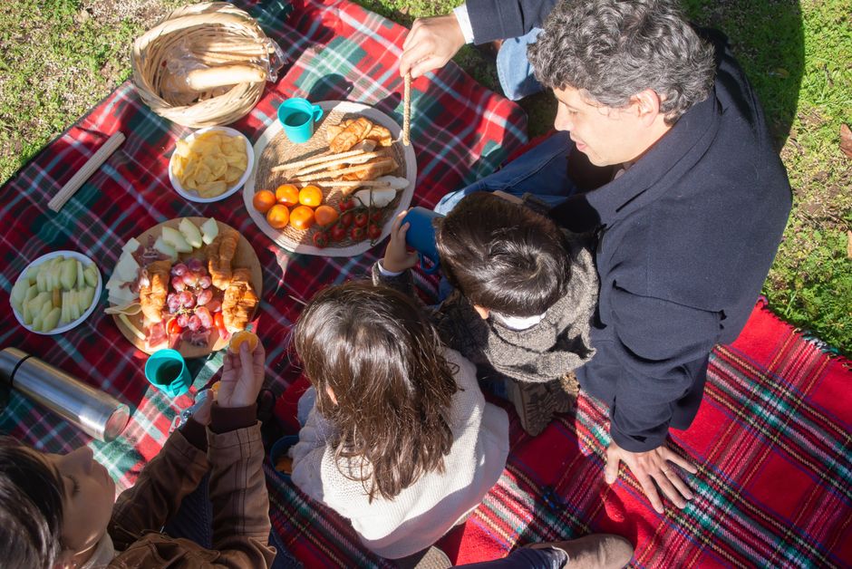Overhead shot of a family sharing a picnic on a plaid blanket during a sunny day.