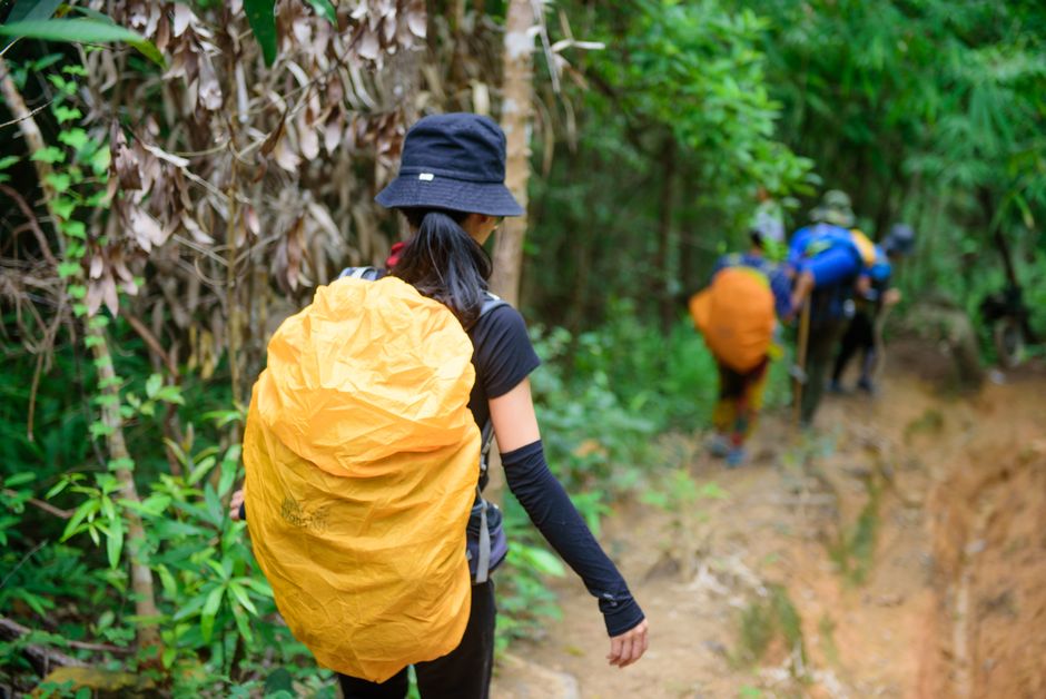 A group of hikers with backpacks walking through a dense forest trail, showcasing adventure and exploration.