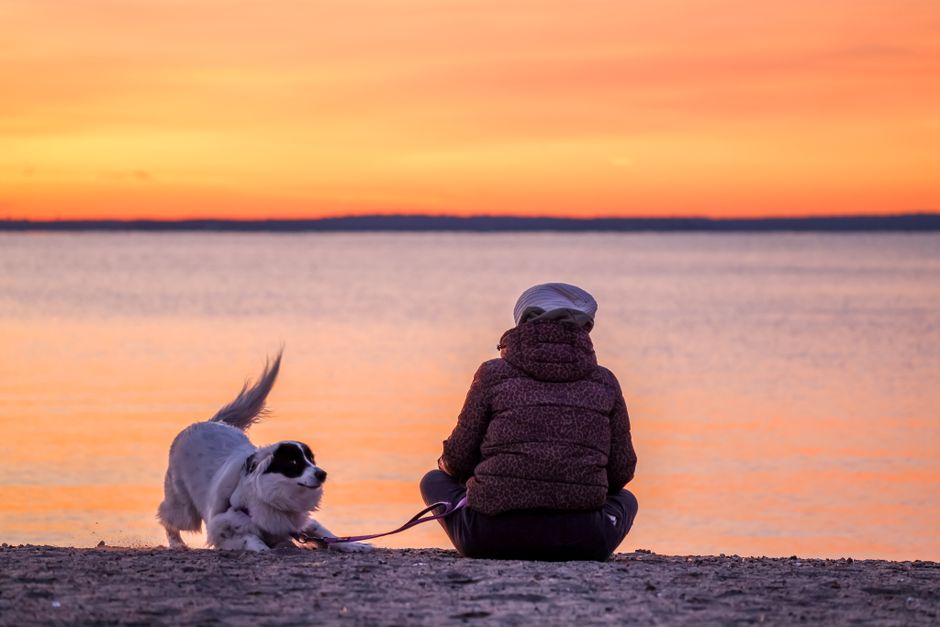 Woman sitting on beach with dog at captivating sunset, evoking tranquility.