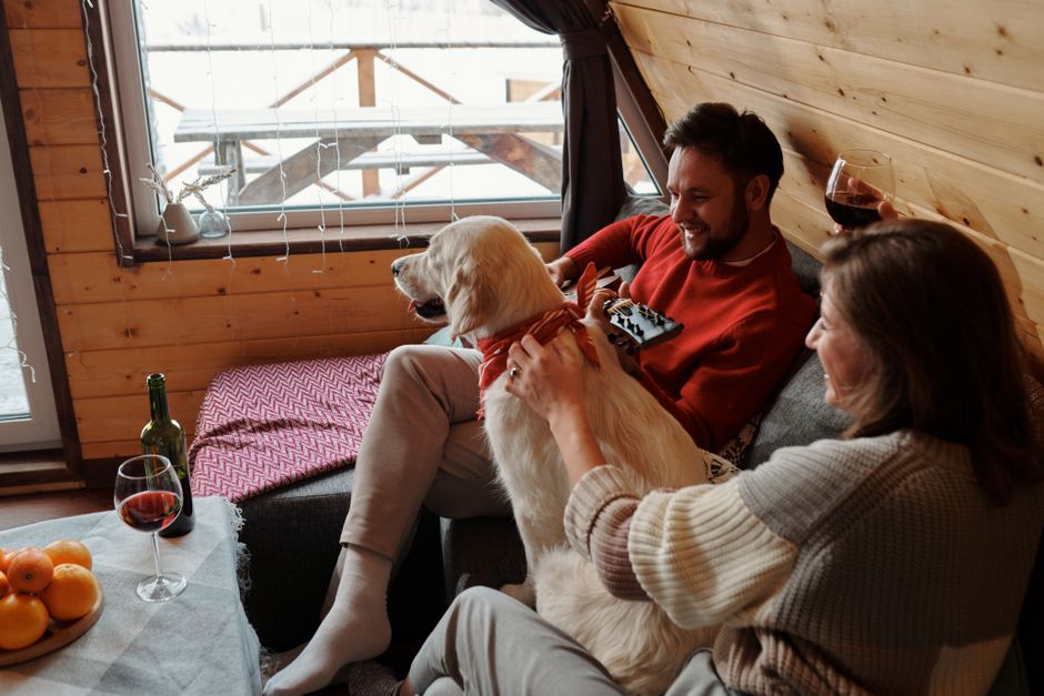 Couple relaxing with a dog indoors during a winter weekend retreat in a cozy cabin.