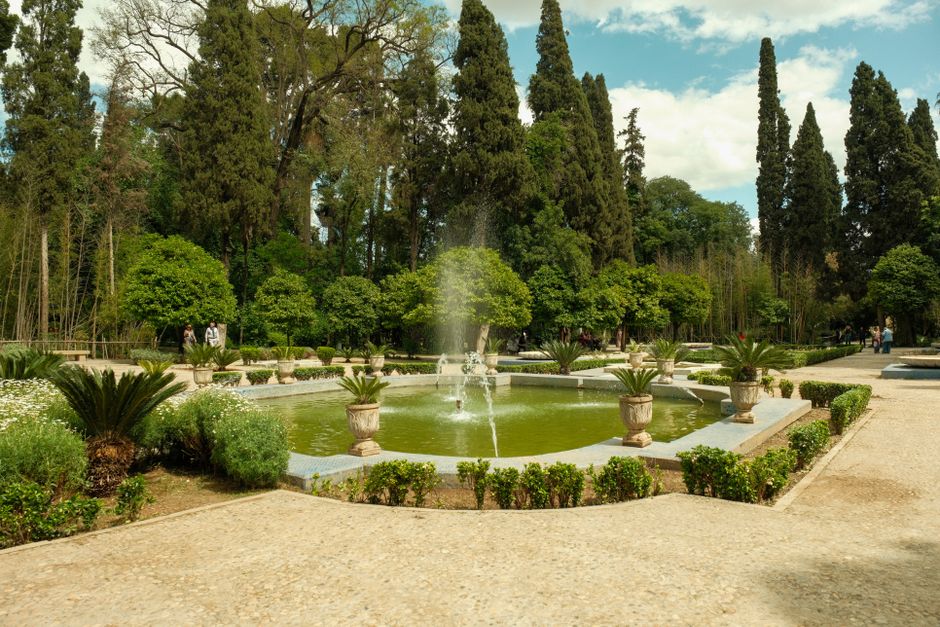 Seville in Spring: Orange Blossom, Tapas and the Run-up to Semana Santa