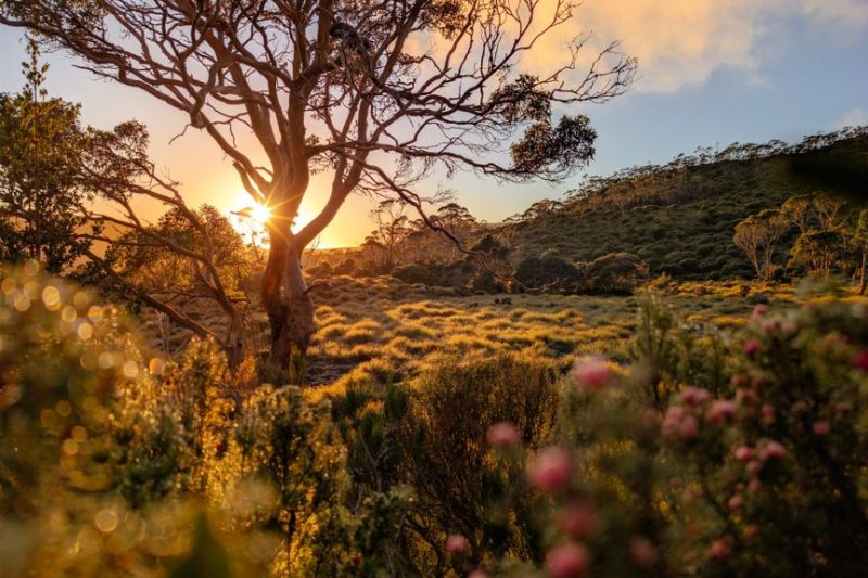 Winter in Tasmania: A July Road Trip from Hobart to Cradle Mountain
