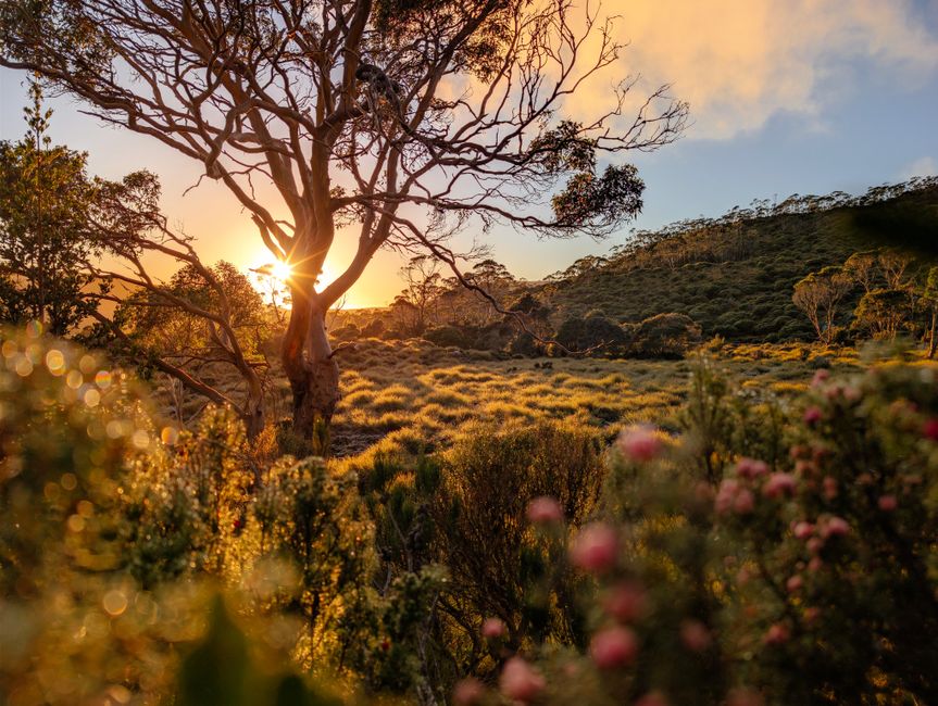 Winter in Tasmania: A July Road Trip from Hobart to Cradle Mountain