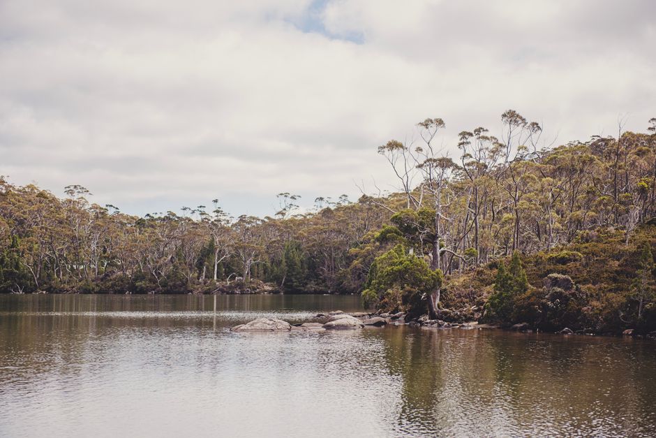 Peaceful lake scene with overcast sky and dense forest in the background.